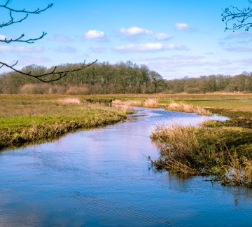 Camping vlak bij de Drentsche Aa - Nationaal Park Drentsche Aa.jpg
