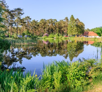 Camping vlak bij de Drentsche Aa - Park Diana Heide.jpg