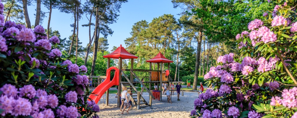 Kamperen Drenthe - Camping Diana Heide