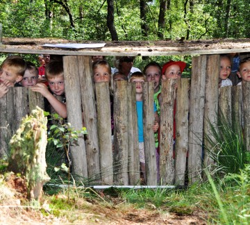 Overijssel - Natuurmuseum Holterberg Foto bos Daantje das Natuurmuseum Holterberg (1).JPG