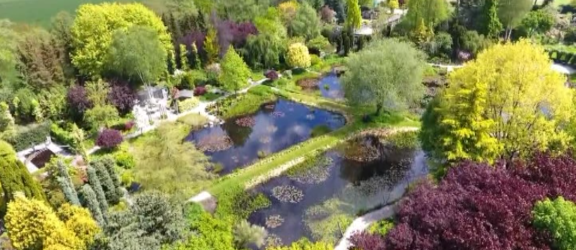 The Pond Gardens of Ada Hofman