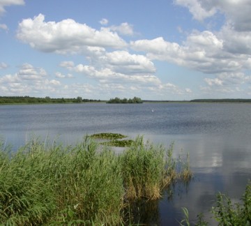 Vogelkijkpunt