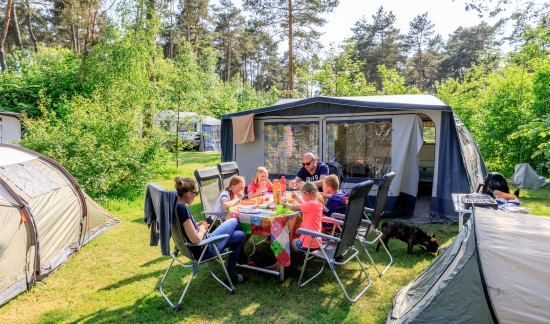 Comfortplaats Diana Heide - Familiecamping Drenthe