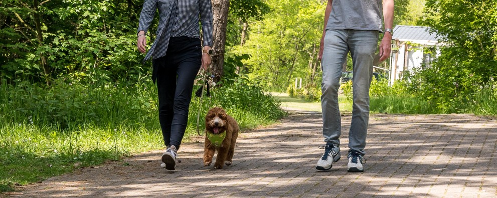 Camping Drenthe met hond - Camping Diana Heide