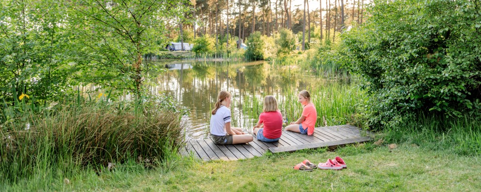 Visvijver Camping Diana Heide in Drenthe