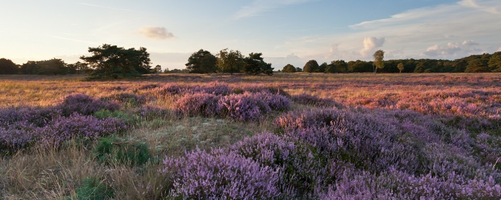 groote-zand-karla-leeftink.jpg groote-zand-karla-leeftink.jpg