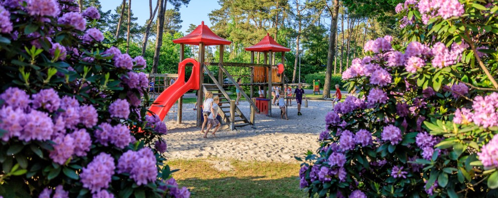 Camping vlak bij de Drentsche Aa - Diana Heide.jpg