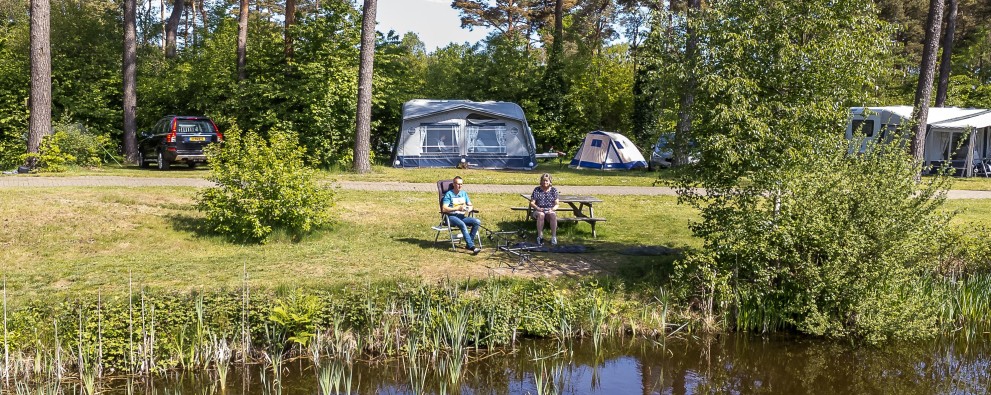 Vissen op de camping met visvijver - Camping Diana Heide