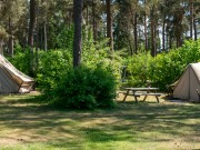 Tipitent huren Drenthe