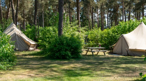 Tipitent huren Drenthe