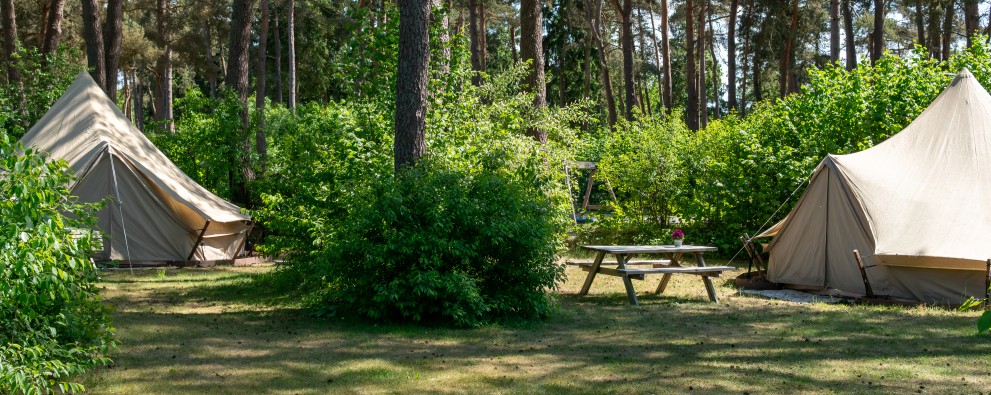 Tipitent huren Drenthe