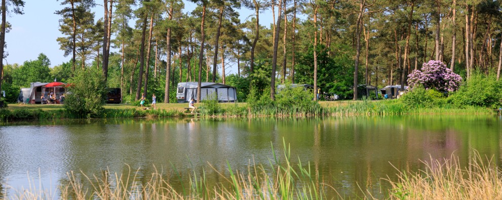 Diana Heide - Drenthe -camping Niederlanden- Natur.jpg