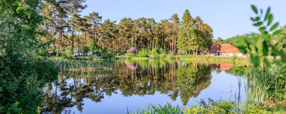 Kamperen Drenthe - Rust en ruimte Kamperen Drenthe - Rust en ruimte