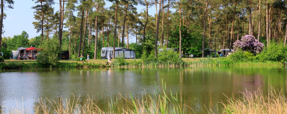 Camping Diana Heide in Amen - Camping met visvijver