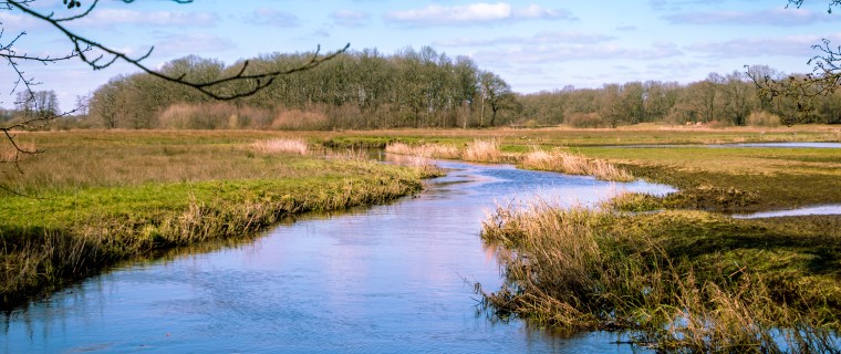 Nationaal Park Drentse AA beek - Depositphotos_356596726_xl-2015.jpg